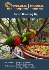 Parrot Breeding Tip