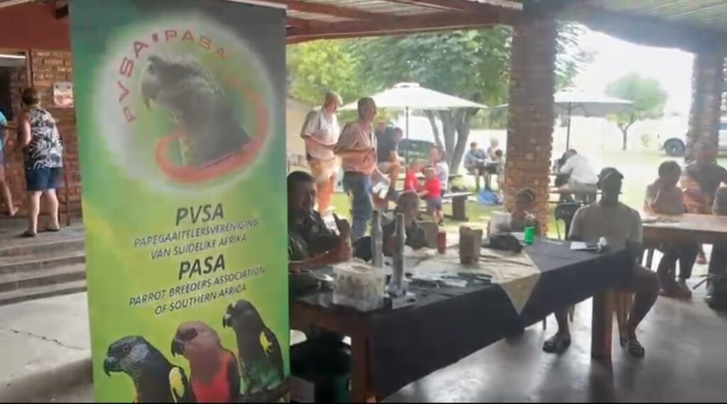 PASA Kalahari Auction