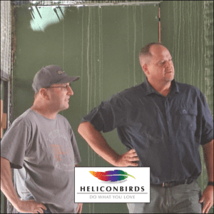 Willem Theron Heliconbirds