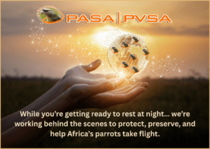 Pasa Code of Conduct