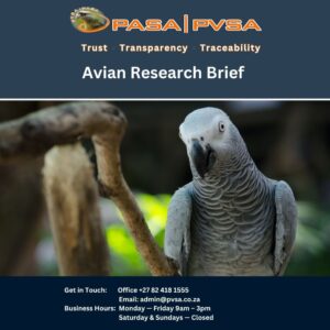 PASA research report