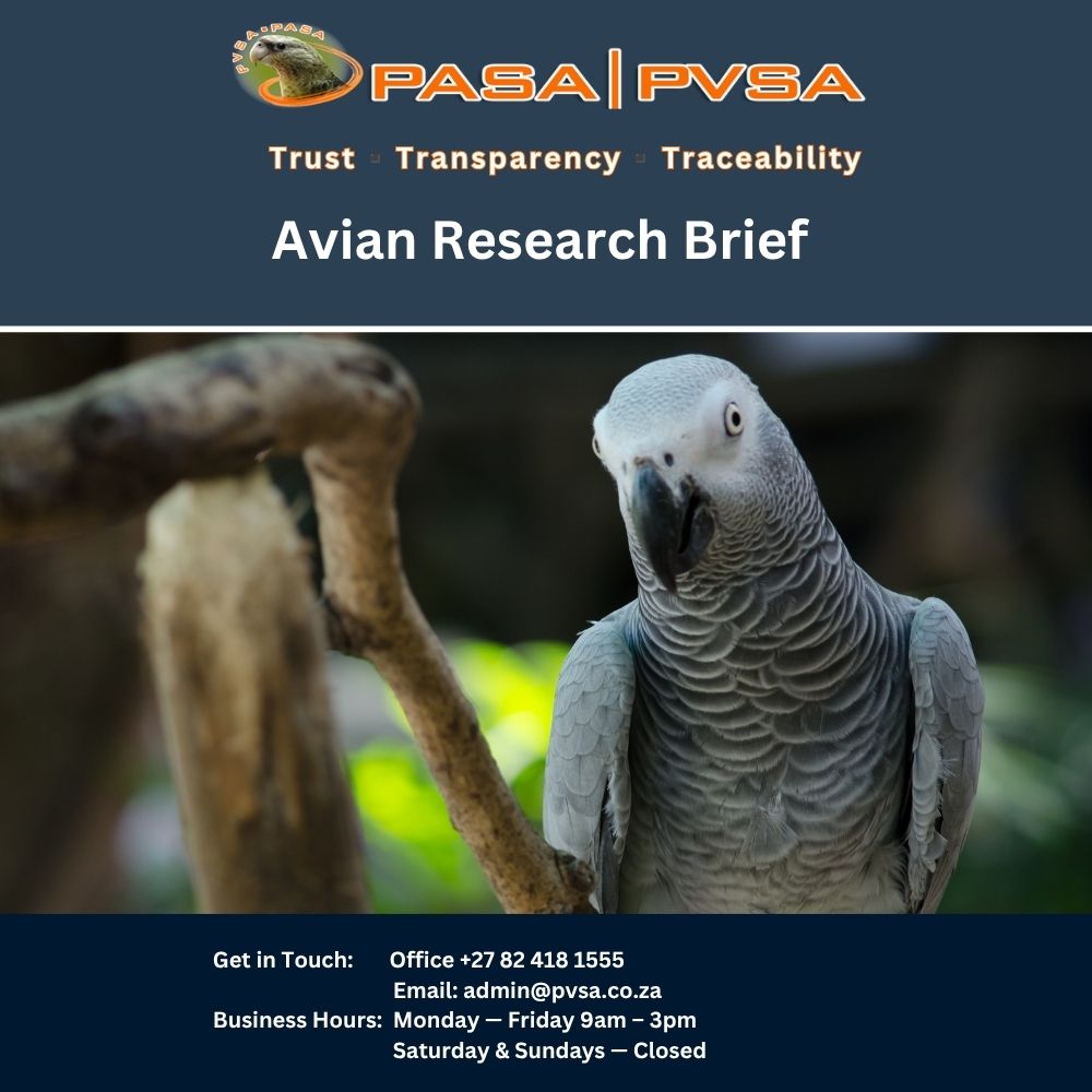 PASA research report