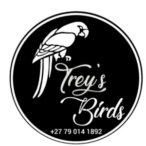 Treys birds