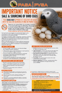 PASA Egg sales and sourcing