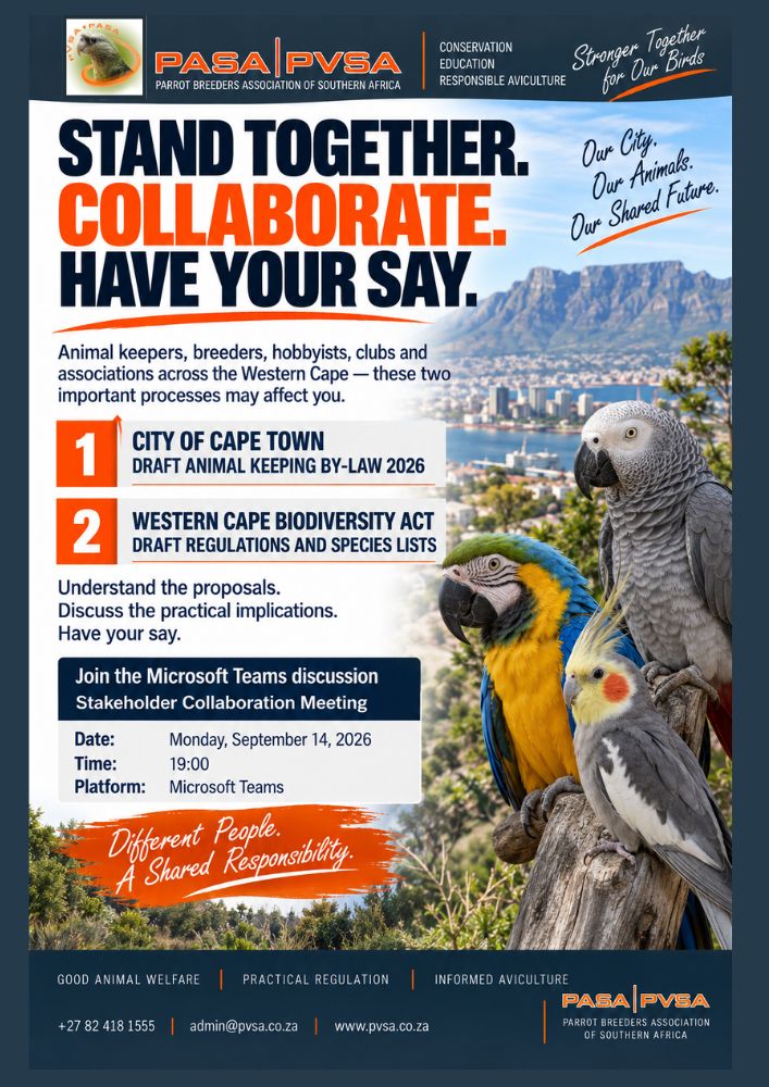 Cape Town Campaign