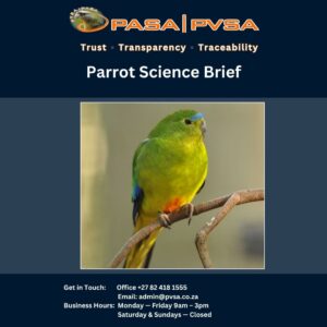 Avian Brief