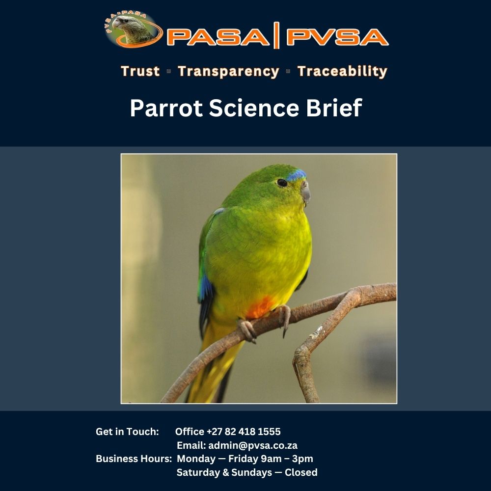 Avian Brief