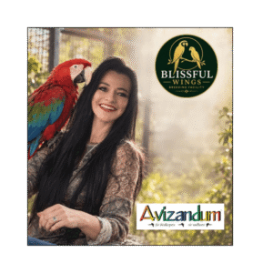 Yolandi van den Berg